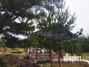 Дом 120м², 1-этажный, участок 10 сот.  