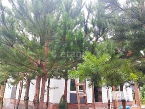 Дом 120м², 1-этажный, участок 10 сот.  