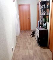 Фото комнаты в аренду (5)