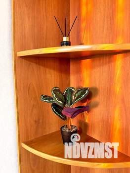 Студия квартира, посуточно, 23м2, 8/10 этаж